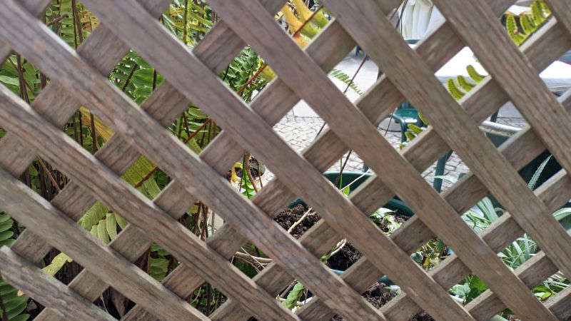 Wood Trellis Mounting